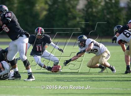 Thumbnail 2 in Aliquippa vs. Southern Columbia Area (PIAA Class AA Final) photogallery.