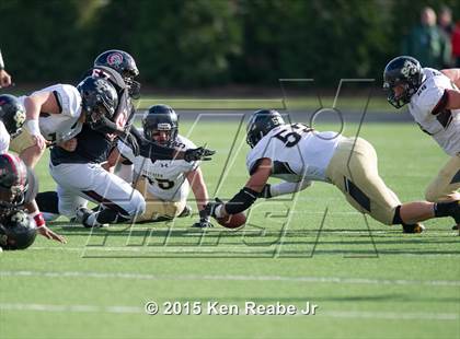 Thumbnail 1 in Aliquippa vs. Southern Columbia Area (PIAA Class AA Final) photogallery.