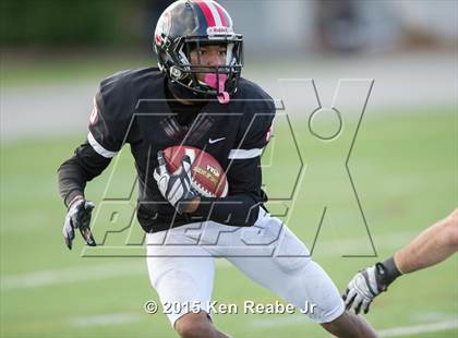 Thumbnail 3 in Aliquippa vs. Southern Columbia Area (PIAA Class AA Final) photogallery.