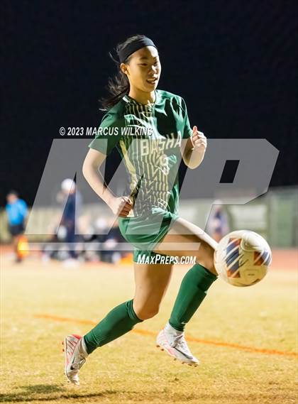 Thumbnail 1 in Desert Vista @ Basha photogallery.