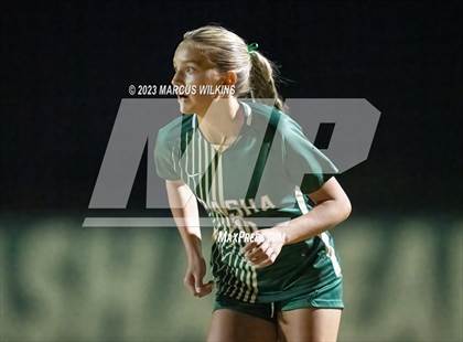 Thumbnail 3 in Desert Vista @ Basha photogallery.