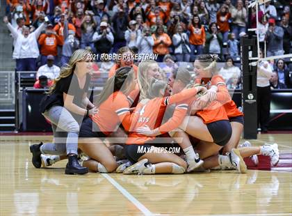 Thumbnail 3 in Celina vs. Needville (UIL Volleyball 4A Semifinals) photogallery.