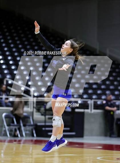 Thumbnail 3 in Celina vs. Needville (UIL Volleyball 4A Semifinals) photogallery.