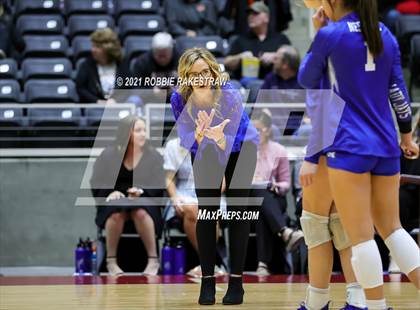 Thumbnail 2 in Celina vs. Needville (UIL Volleyball 4A Semifinals) photogallery.
