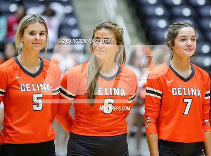 Thumbnail 1 in Celina vs. Needville (UIL Volleyball 4A Semifinals) photogallery.