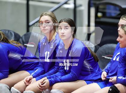 Thumbnail 3 in Celina vs. Needville (UIL Volleyball 4A Semifinals) photogallery.