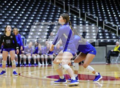 Thumbnail 2 in Celina vs. Needville (UIL Volleyball 4A Semifinals) photogallery.