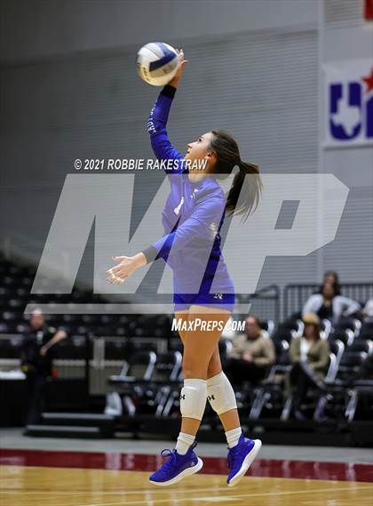 Thumbnail 2 in Celina vs. Needville (UIL Volleyball 4A Semifinals) photogallery.