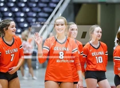 Thumbnail 2 in Celina vs. Needville (UIL Volleyball 4A Semifinals) photogallery.