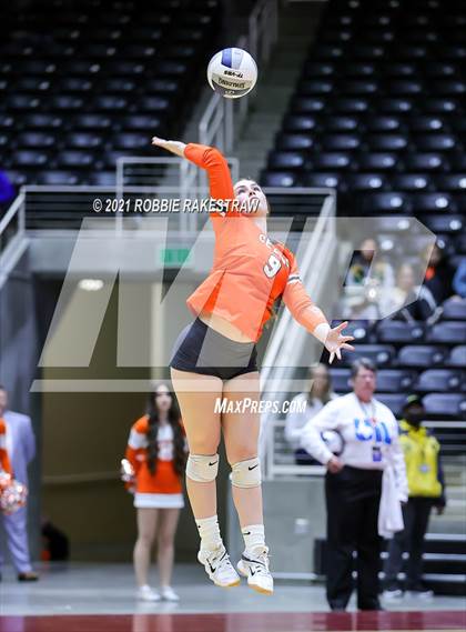 Thumbnail 1 in Celina vs. Needville (UIL Volleyball 4A Semifinals) photogallery.