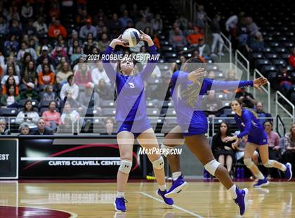 Thumbnail 3 in Celina vs. Needville (UIL Volleyball 4A Semifinals) photogallery.