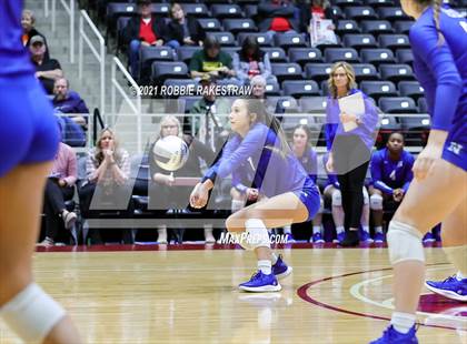 Thumbnail 3 in Celina vs. Needville (UIL Volleyball 4A Semifinals) photogallery.