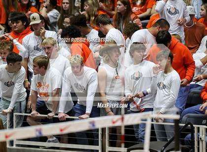 Thumbnail 2 in Celina vs. Needville (UIL Volleyball 4A Semifinals) photogallery.
