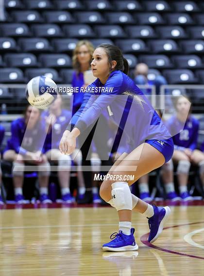 Thumbnail 1 in Celina vs. Needville (UIL Volleyball 4A Semifinals) photogallery.
