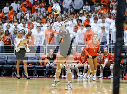 Thumbnail 3 in Celina vs. Needville (UIL Volleyball 4A Semifinals) photogallery.