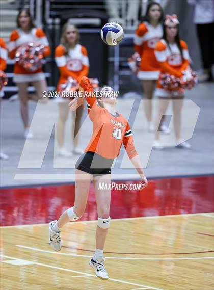 Thumbnail 3 in Celina vs. Needville (UIL Volleyball 4A Semifinals) photogallery.