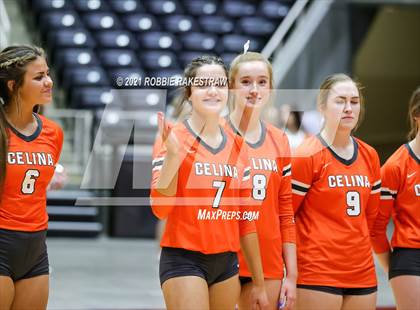 Thumbnail 1 in Celina vs. Needville (UIL Volleyball 4A Semifinals) photogallery.