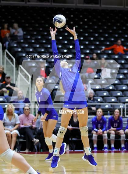Thumbnail 3 in Celina vs. Needville (UIL Volleyball 4A Semifinals) photogallery.