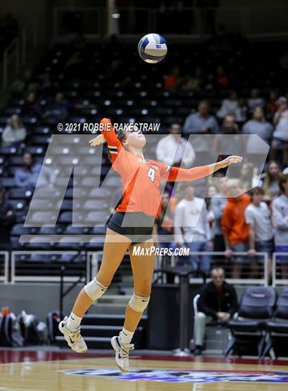Thumbnail 3 in Celina vs. Needville (UIL Volleyball 4A Semifinals) photogallery.