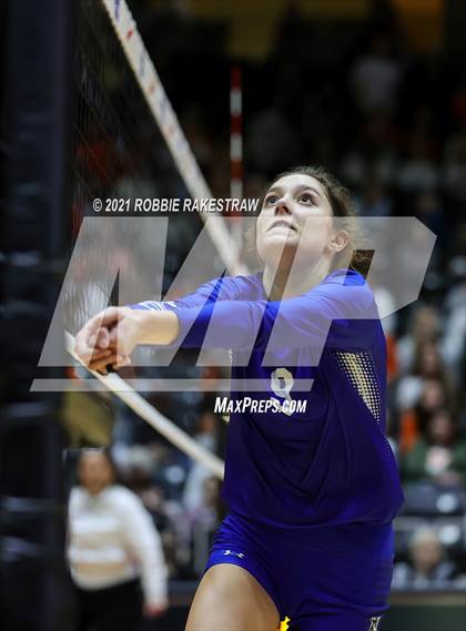 Thumbnail 3 in Celina vs. Needville (UIL Volleyball 4A Semifinals) photogallery.