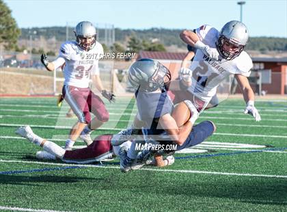 Thumbnail 2 in Palisade @ Palmer Ridge (CHSAA 3A Semifinal) photogallery.