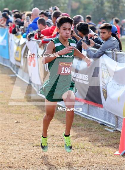 Thumbnail 1 in CIF Central Section Cross Country Championships (Boys D2 Race) photogallery.