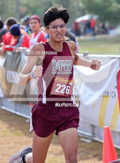 Thumbnail 1 in CIF Central Section Cross Country Championships (Boys D2 Race) photogallery.