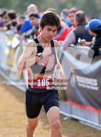 Thumbnail 1 in CIF Central Section Cross Country Championships (Boys D2 Race) photogallery.