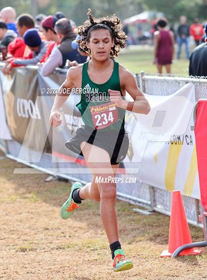Thumbnail 2 in CIF Central Section Cross Country Championships (Boys D2 Race) photogallery.
