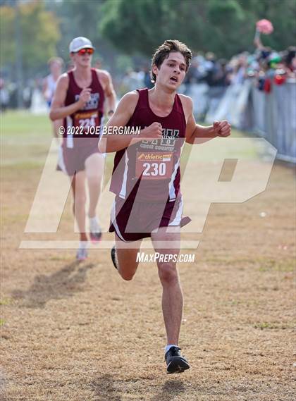 Thumbnail 3 in CIF Central Section Cross Country Championships (Boys D2 Race) photogallery.