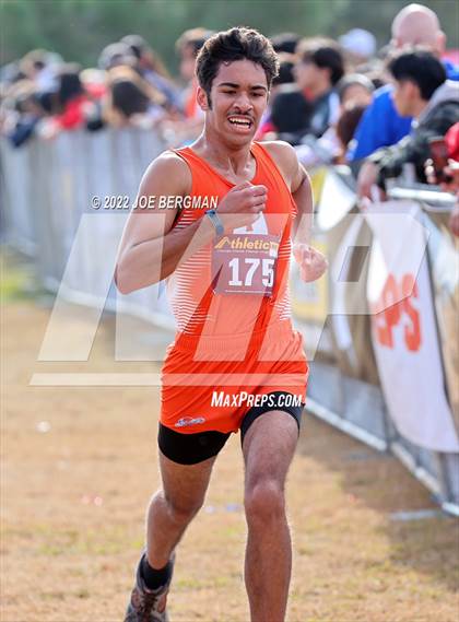 Thumbnail 2 in CIF Central Section Cross Country Championships (Boys D2 Race) photogallery.