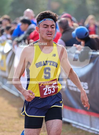 Thumbnail 3 in CIF Central Section Cross Country Championships (Boys D2 Race) photogallery.