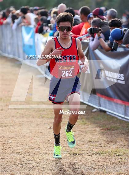 Thumbnail 1 in CIF Central Section Cross Country Championships (Boys D2 Race) photogallery.