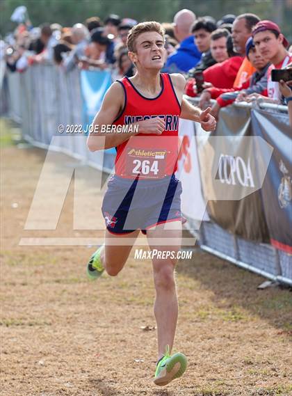 Thumbnail 3 in CIF Central Section Cross Country Championships (Boys D2 Race) photogallery.