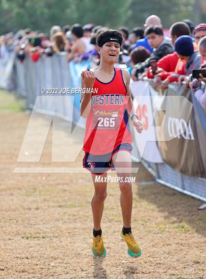 Thumbnail 2 in CIF Central Section Cross Country Championships (Boys D2 Race) photogallery.
