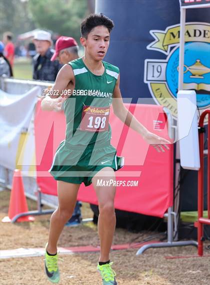 Thumbnail 2 in CIF Central Section Cross Country Championships (Boys D2 Race) photogallery.
