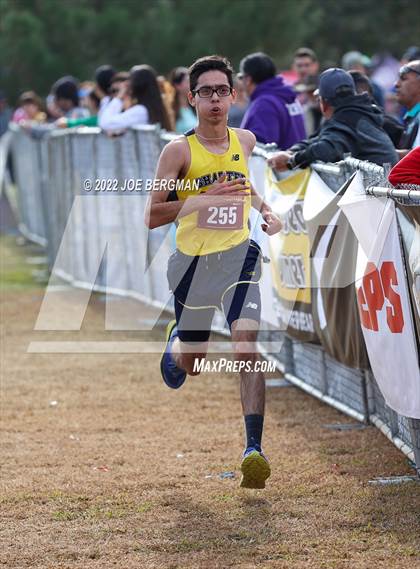 Thumbnail 3 in CIF Central Section Cross Country Championships (Boys D2 Race) photogallery.