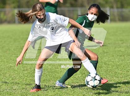 Thumbnail 3 in Millbrook @ Enloe photogallery.