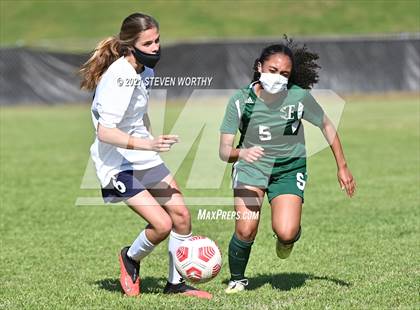 Thumbnail 1 in Millbrook @ Enloe photogallery.
