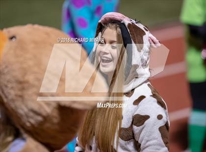 Thumbnail 3 in Merrimack @ Bedford photogallery.