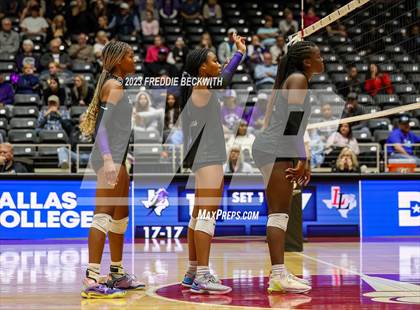 Thumbnail 2 in Fulshear vs. Lovejoy (UIL 5A Volleyball Semi-Final) photogallery.