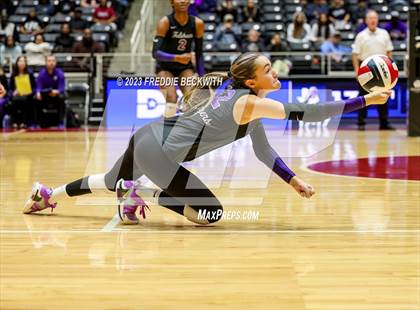 Thumbnail 1 in Fulshear vs. Lovejoy (UIL 5A Volleyball Semi-Final) photogallery.