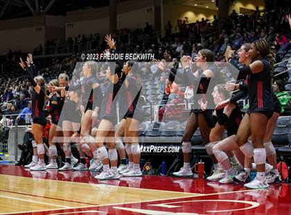Thumbnail 3 in Fulshear vs. Lovejoy (UIL 5A Volleyball Semi-Final) photogallery.