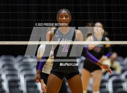 Thumbnail 2 in Fulshear vs. Lovejoy (UIL 5A Volleyball Semi-Final) photogallery.