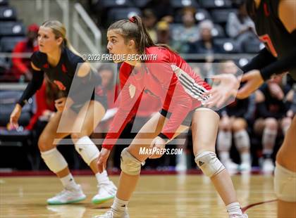 Thumbnail 2 in Fulshear vs. Lovejoy (UIL 5A Volleyball Semi-Final) photogallery.