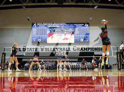 Thumbnail 1 in Fulshear vs. Lovejoy (UIL 5A Volleyball Semi-Final) photogallery.