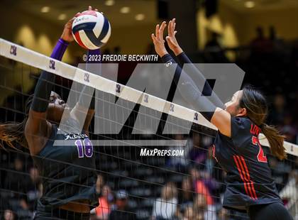 Thumbnail 1 in Fulshear vs. Lovejoy (UIL 5A Volleyball Semi-Final) photogallery.