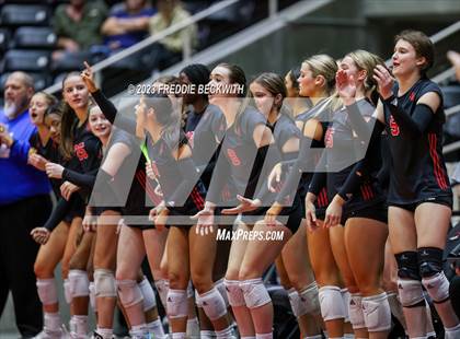 Thumbnail 2 in Fulshear vs. Lovejoy (UIL 5A Volleyball Semi-Final) photogallery.