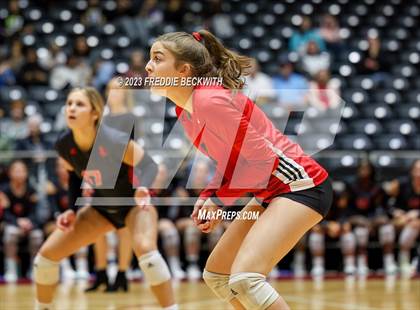 Thumbnail 2 in Fulshear vs. Lovejoy (UIL 5A Volleyball Semi-Final) photogallery.