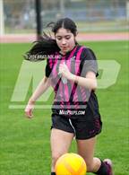Photo from the gallery "Moody @ Elberta"